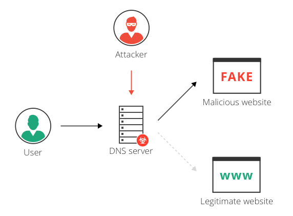 Figure 1 – Domain Hijacking