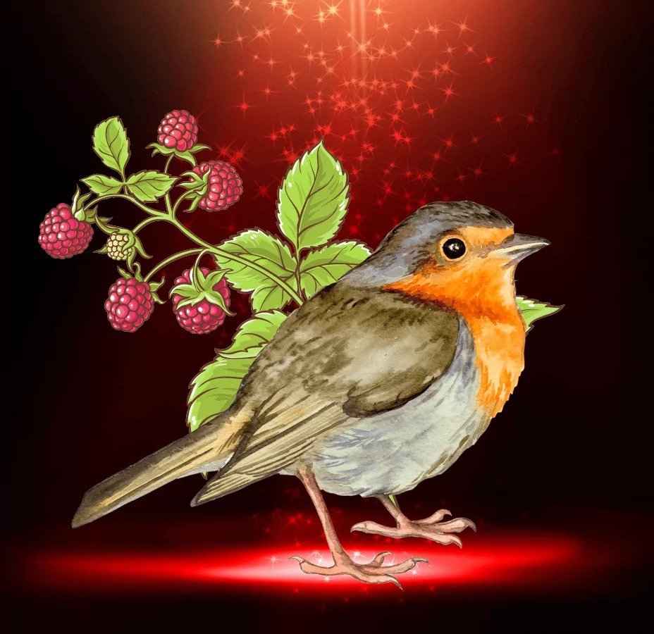 Raspberry Robin