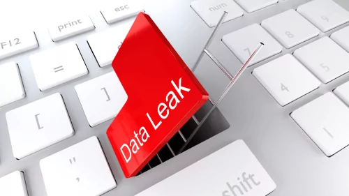 DLP systems provide