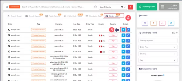 The tab of the Stealer Logs is shown after a search in the Threat Hunting feature.
