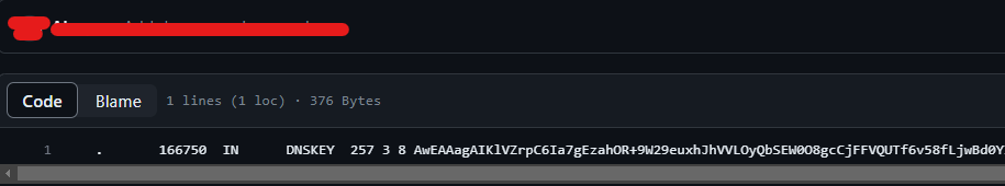 Exposed DNSKEY, github