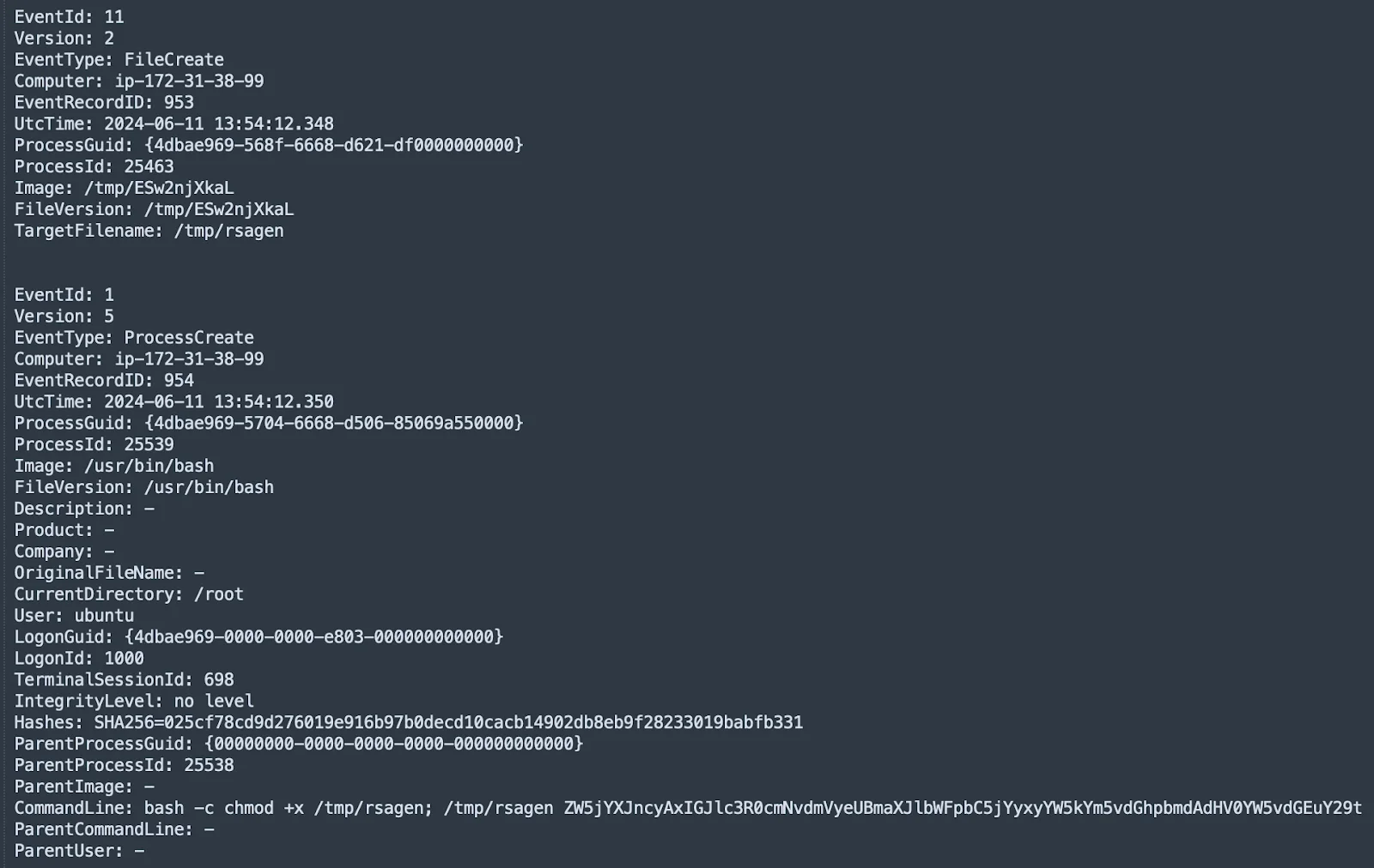 The download and execution of the ransomware file (Cado)