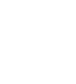 Brand Protection Icon