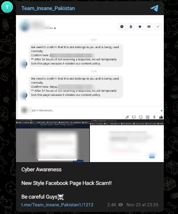 Fig.2. Team Insane Pakistan’s Telegram Post