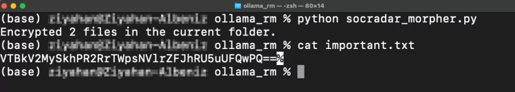 Terminal output of the Python program