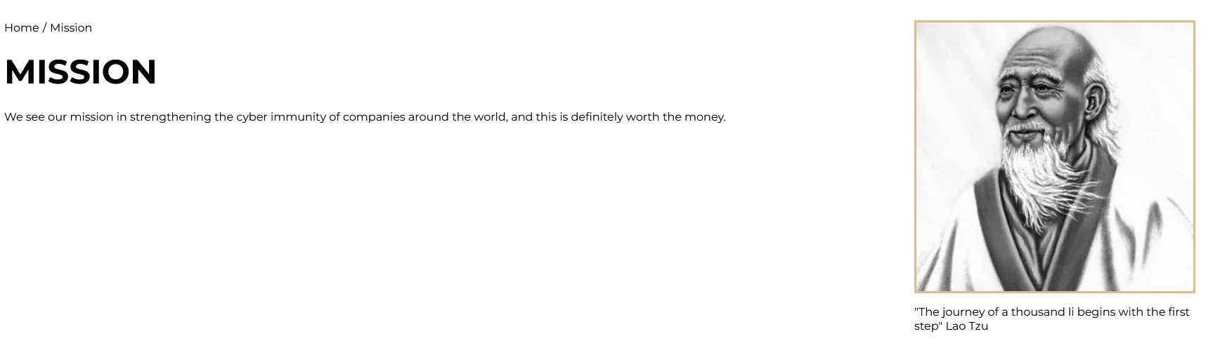 On their Mission page, they say that they provide a pentest service, which is a classic ransomware group joke that is not very original.