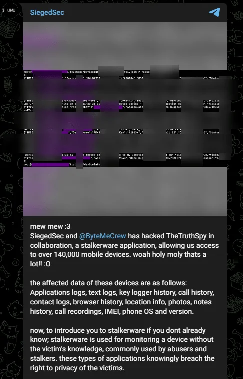 Fig. 6. Threat actor’s statement