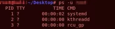 Example usage and output for ‘ps’