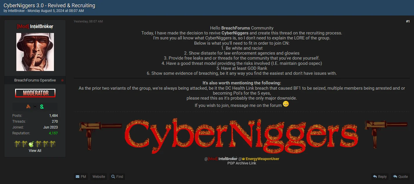 The recent post about new version of CyberNiggers