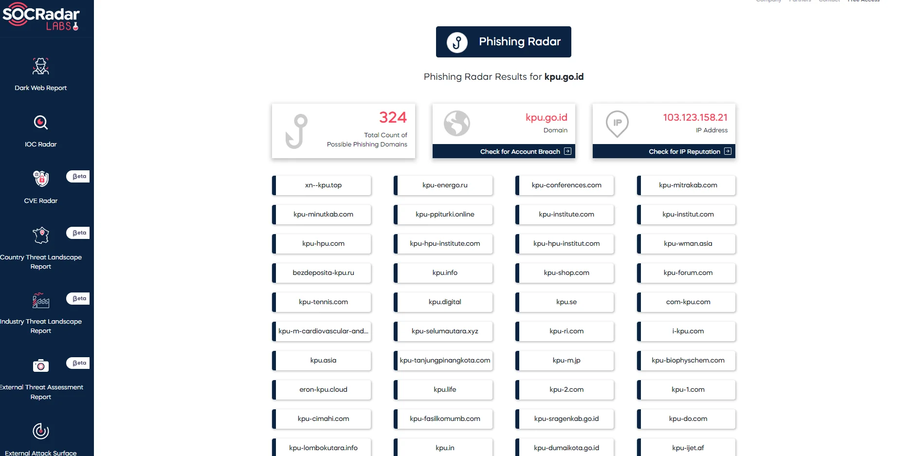 SOCRadar Labs, Phishing Radar, potential phishing domains.