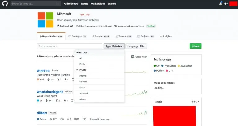 A screenshot provided by ShinyHunters shows access to Microsoft's account (HackRead)
