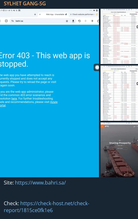 Alleged DDoS attack to a Saudi Arabian organization