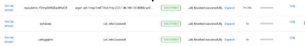 Ray's job history shows that attackers stole passwords and launched a reverse shell.