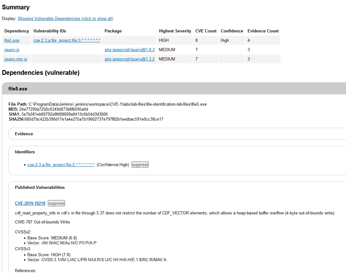 HTML view of the dependency check report