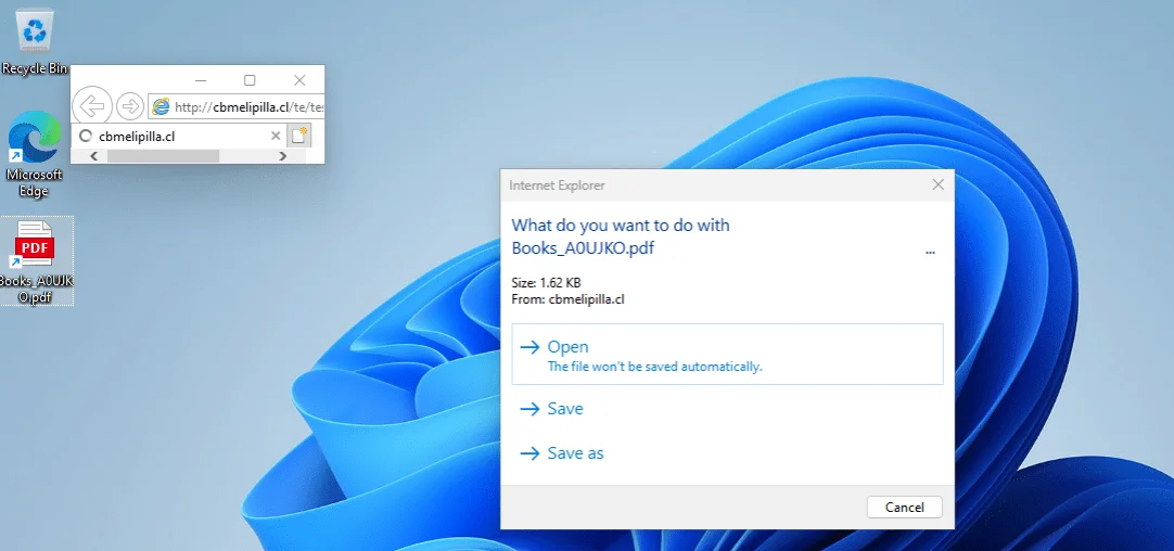 A window dialog appears as IE leads to the specified URL in the sample file (CP Research)