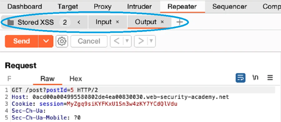 BurpSuite (Source: Portswigger)