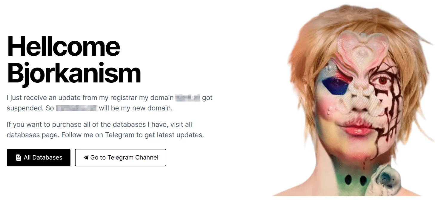 Bjorka also has a personal clearweb DLS