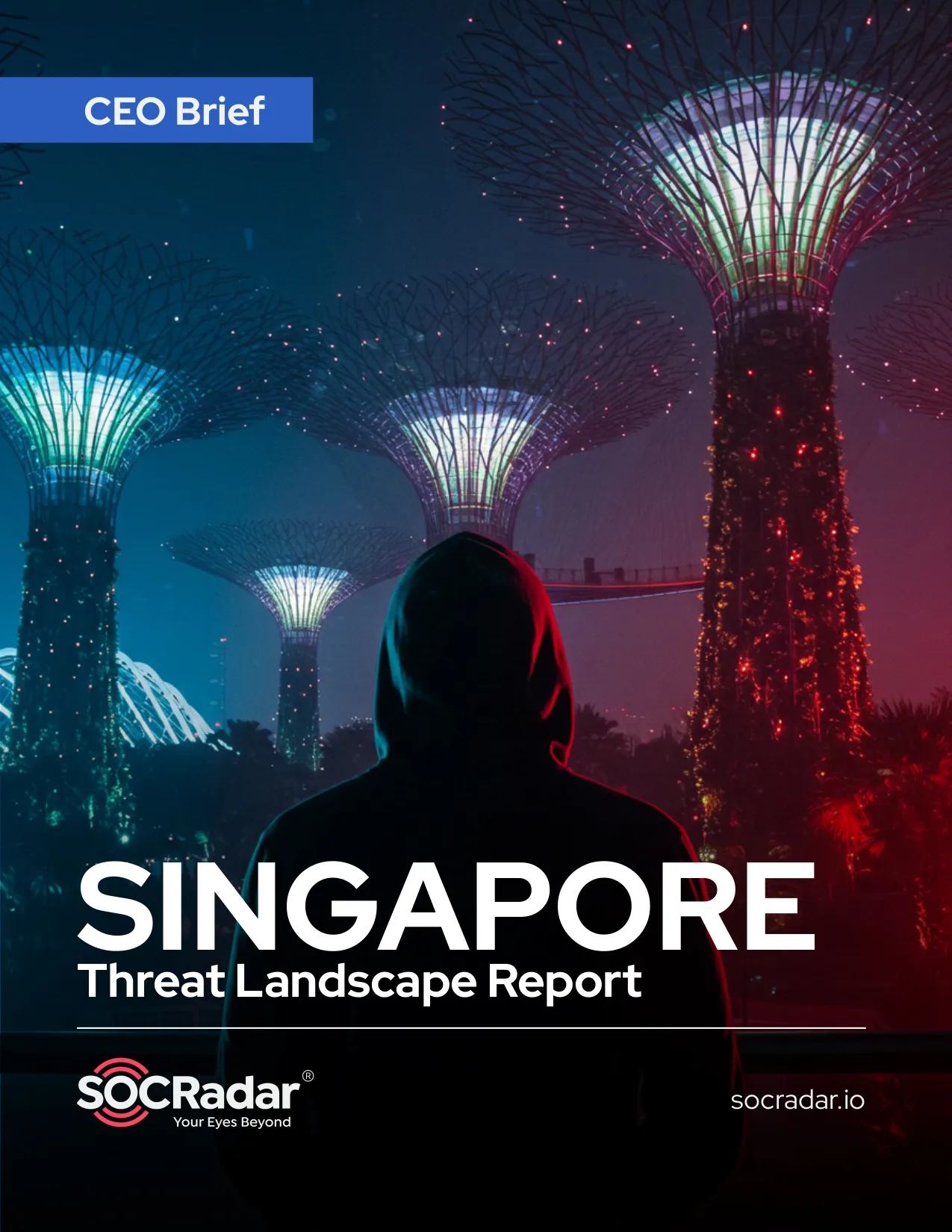 SOCRadar® Cyber Intelligence Inc. | Singapore Threat Landscape Report’s CEO Brief