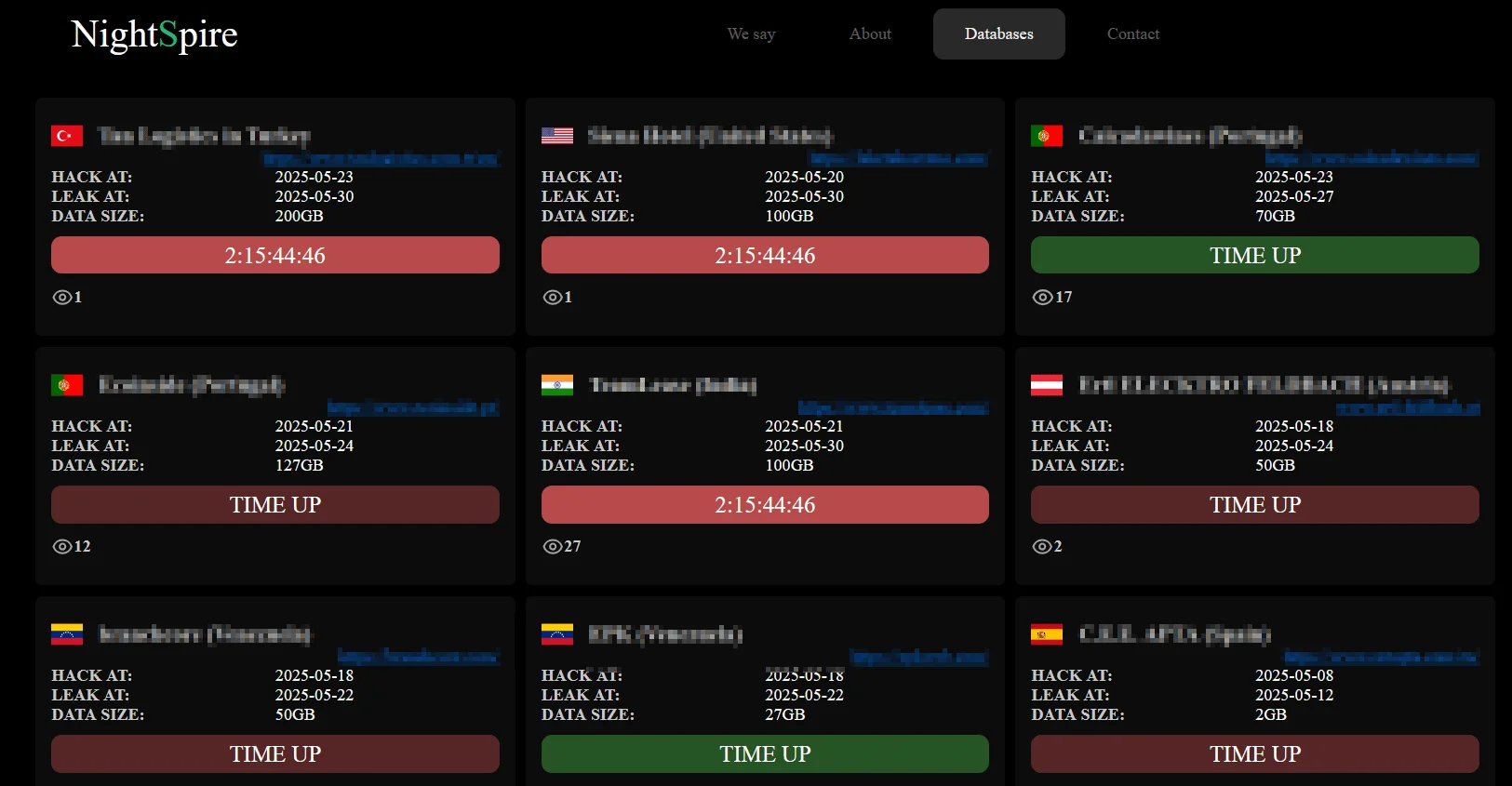 NightSpire Ransomware, DLS