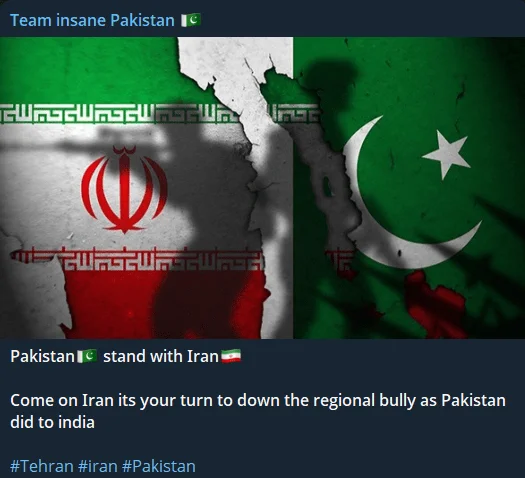 Team Insane Pakistan’s Telegram post