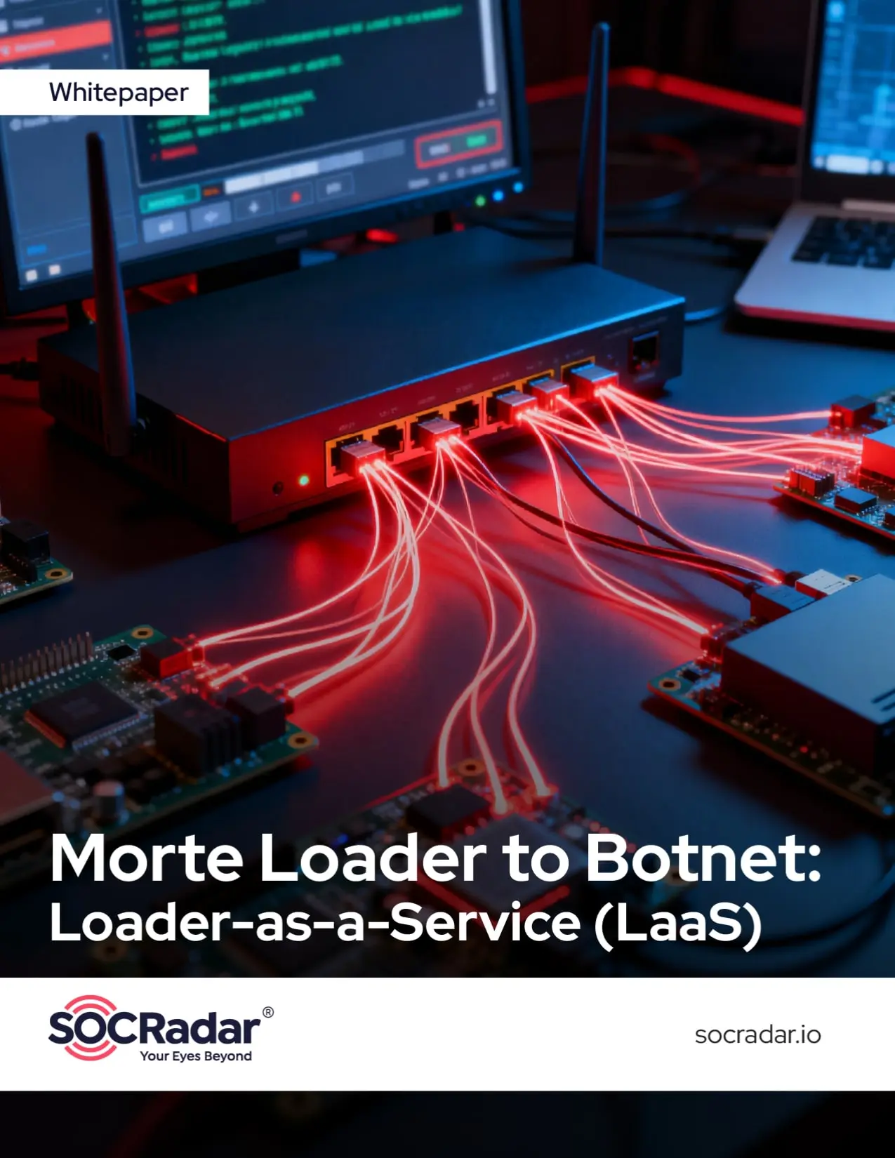 Morte Loader and the Rise of Loader-as-a-Service in 2025 Whitepaper