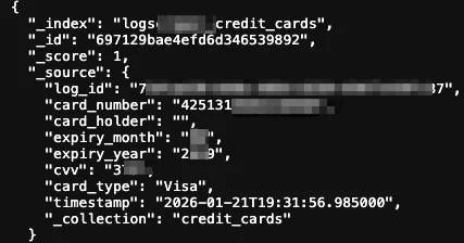 Sample JSON record showing exposed credit card information