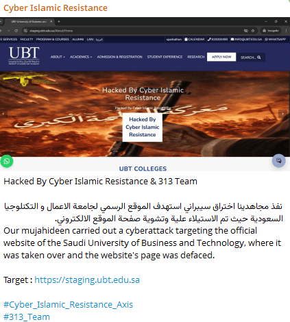 CIR and 313 Team UBT defacement