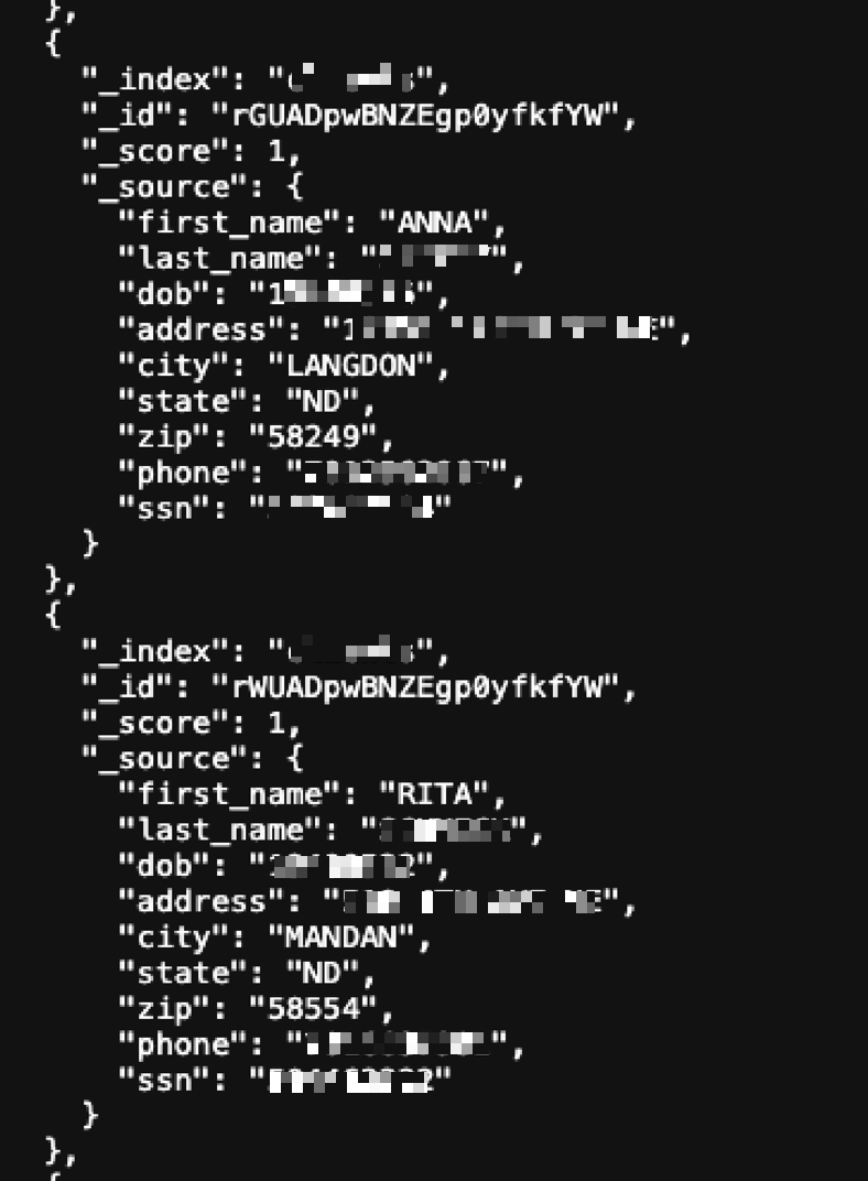 JSON identity record sample showing full name, DOB, address, phone, SSN