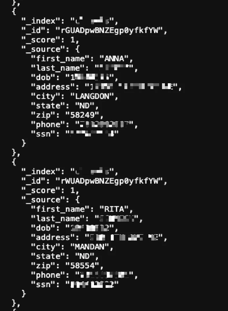 JSON identity record sample showing full name, DOB, address, phone, SSN