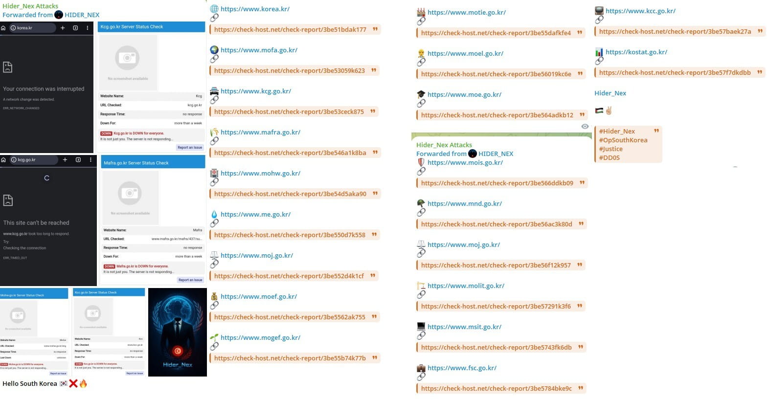 Hider_Nex posts showing Check-Host verification for 15+ South Korean government domains