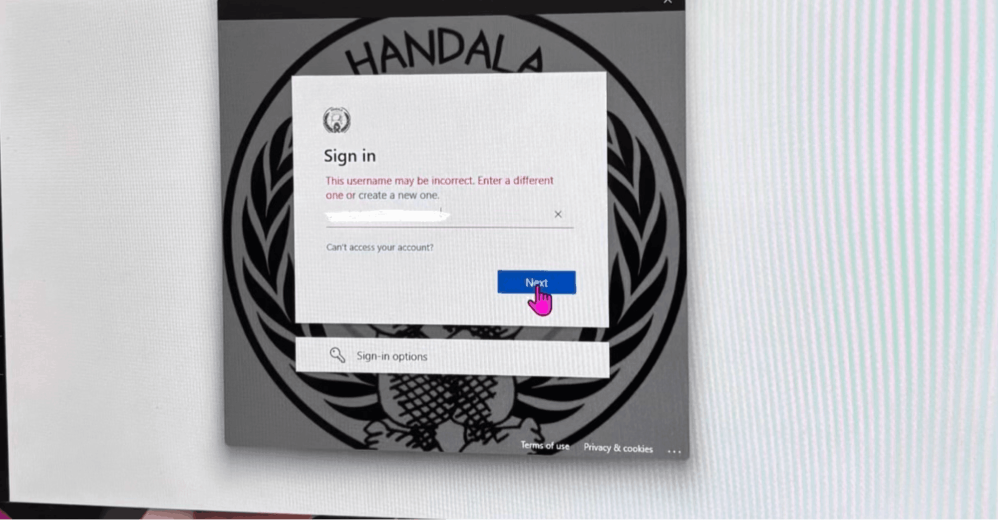 Image from inside Stryker showed Handala branding displayed on affected login screens (WWMT)