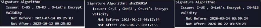 Some of the identified C2 servers that were likely registered by the adversary.