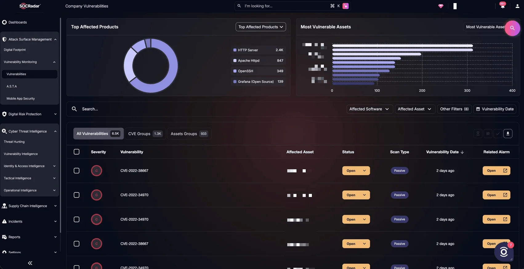 SOCRadar ASM Company Vulnerabilities module