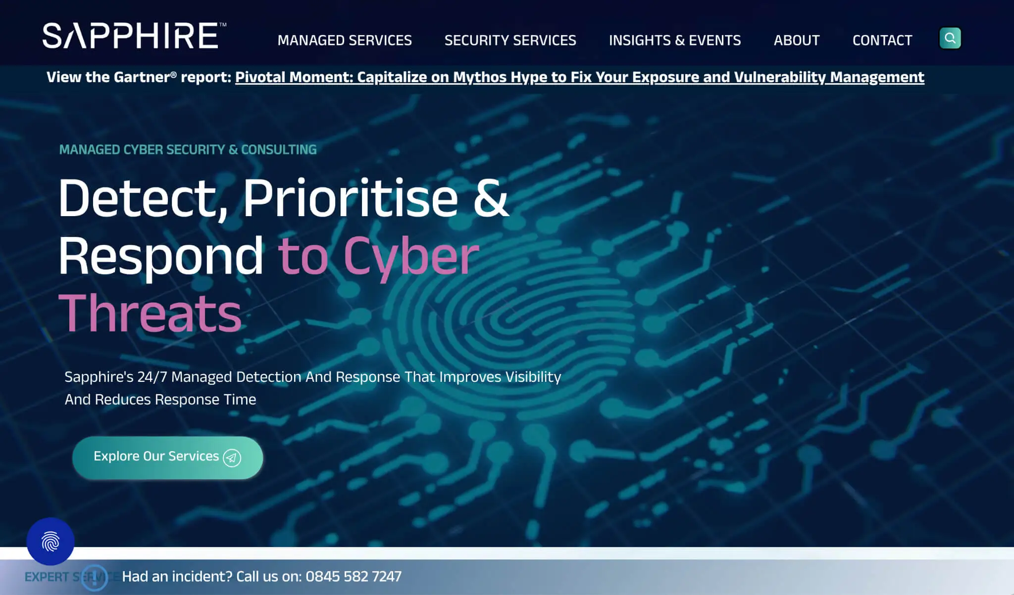 Sapphire managed cyber security services