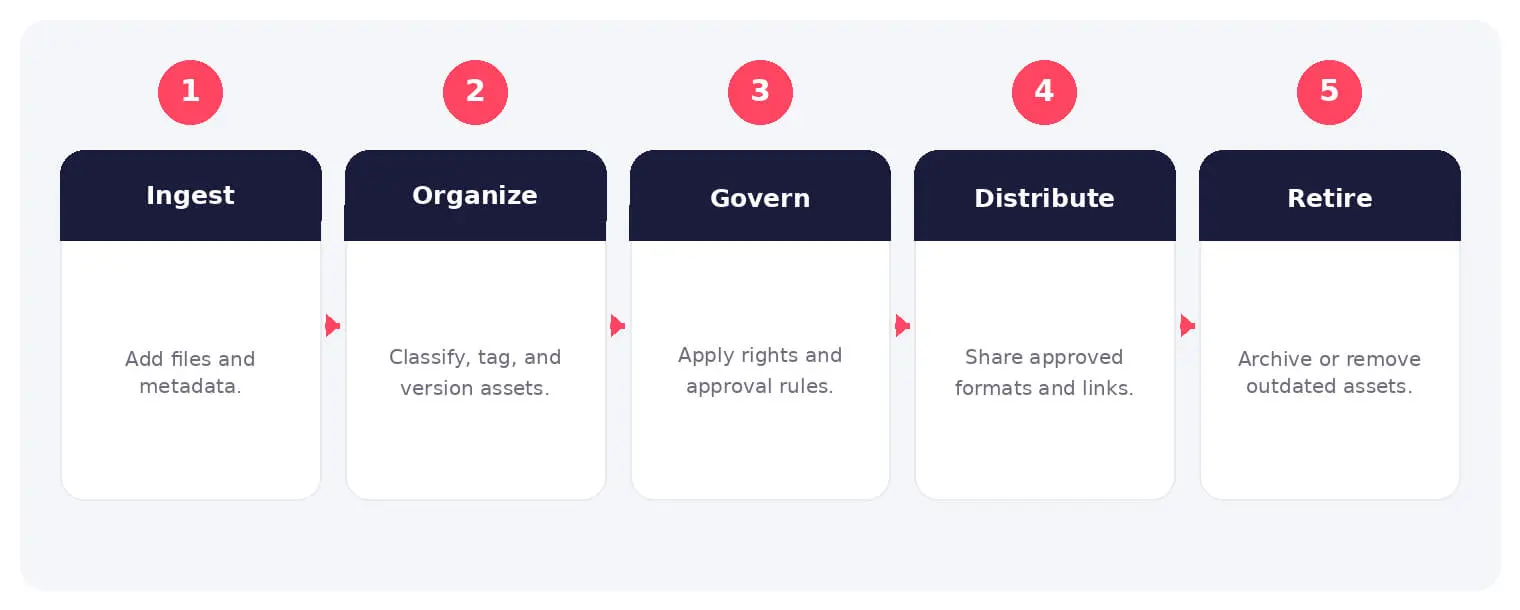 The main stages and decision points associated with digital asset management.