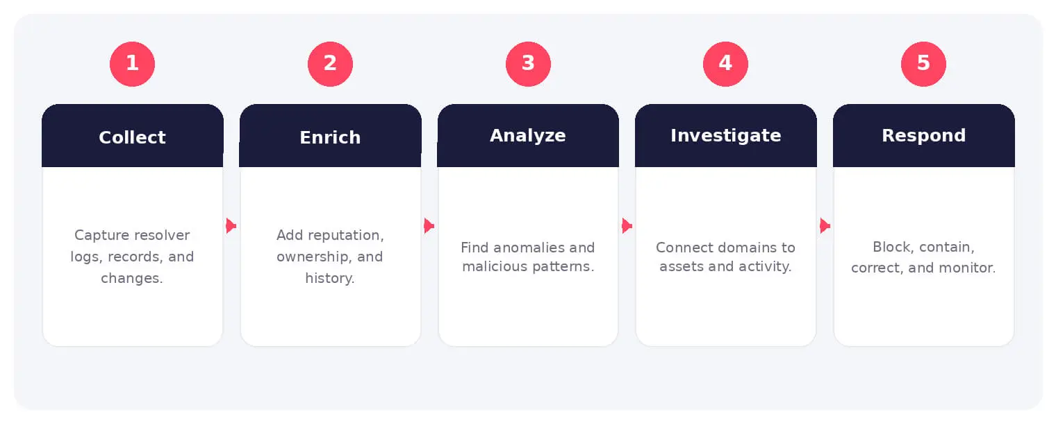 The main stages and decision points associated with DNS monitoring.