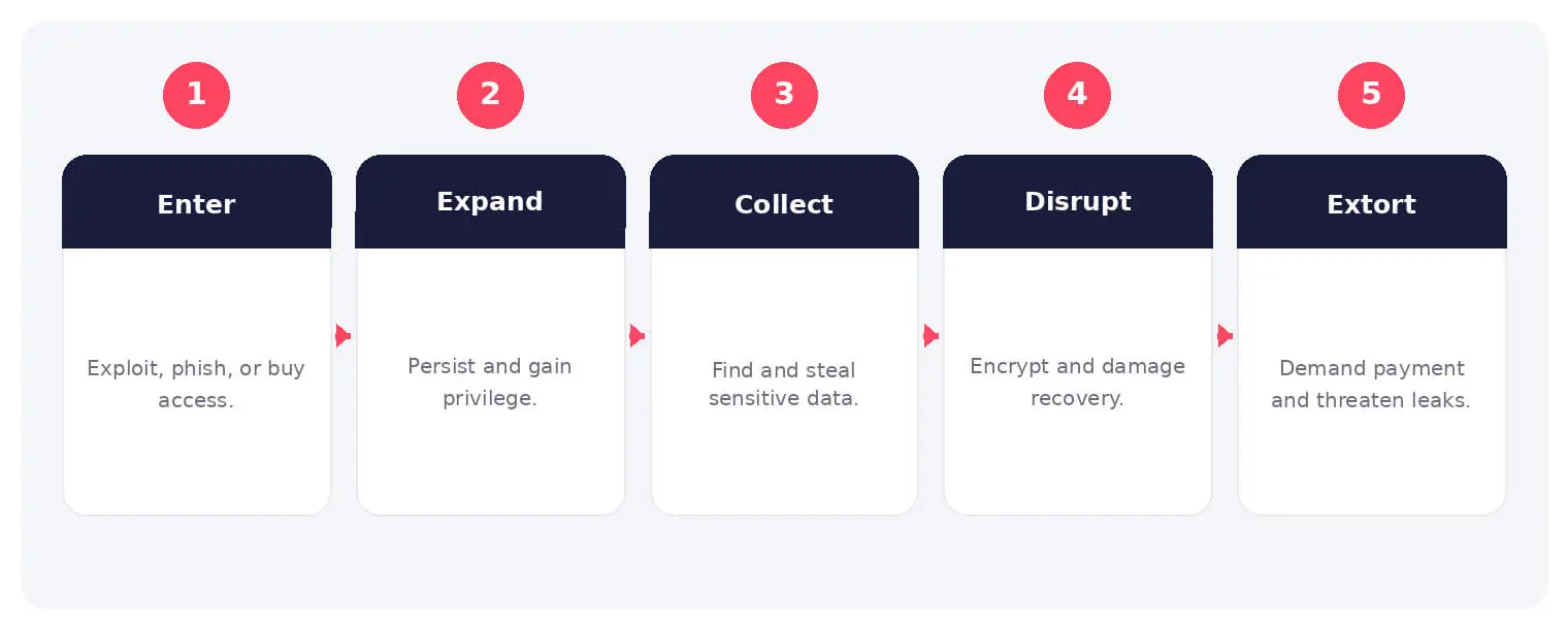 The main stages and decision points associated with ransomware.