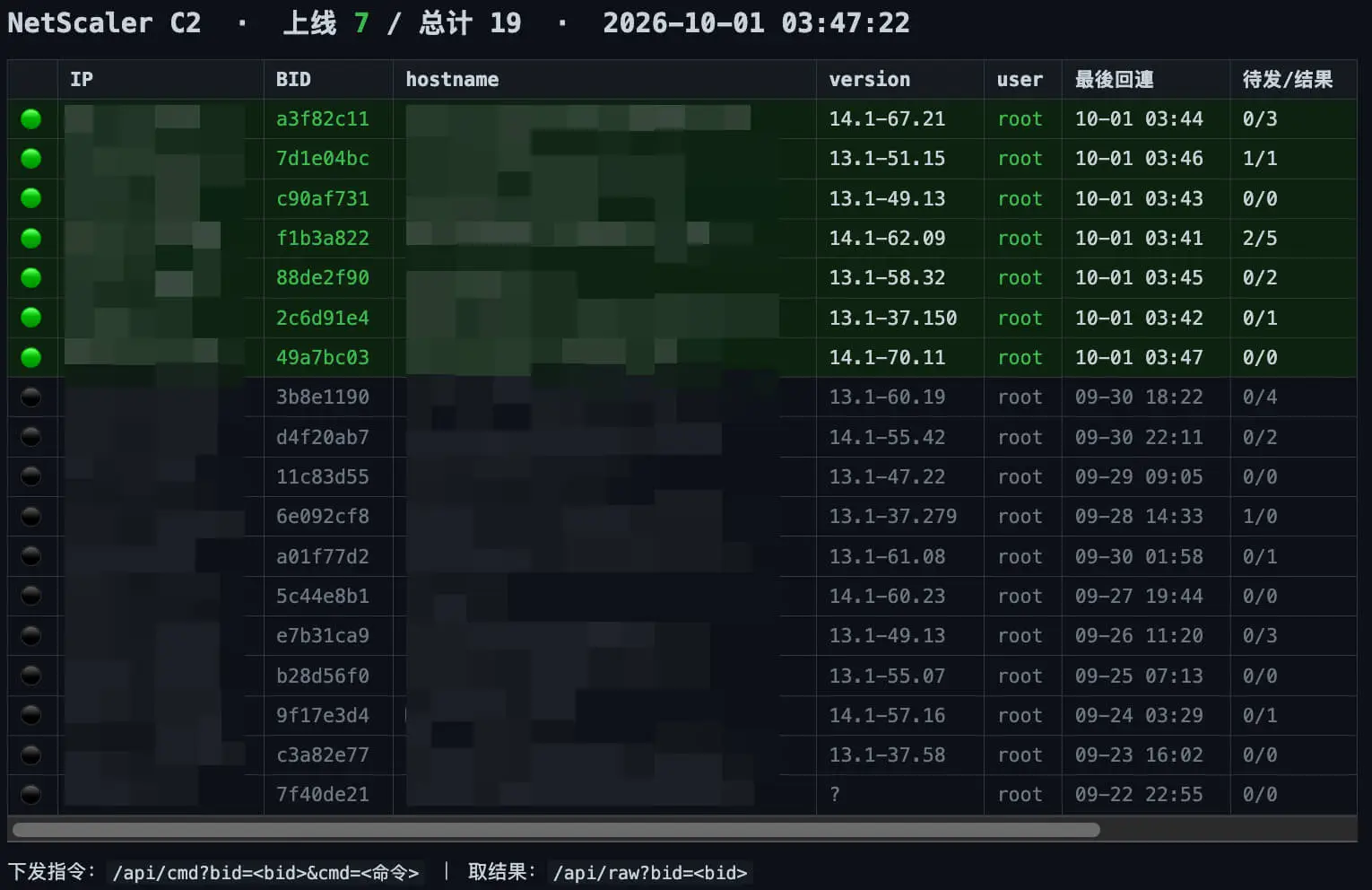 Sample reconstructed NetScaler report panel with dummy data (no active NetScaler C2 instance could be retrieved)